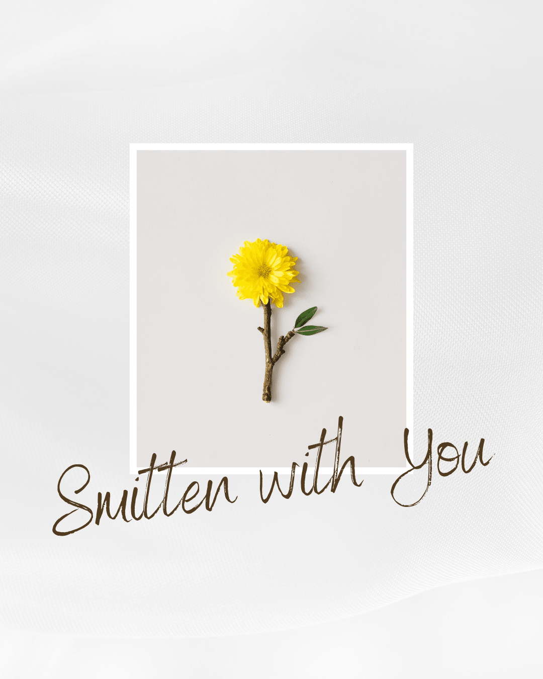 April 2026 Quarterly Subscription Blog Post - Double Dipp'd Dip Powder