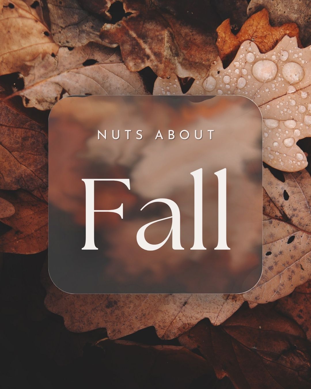 OCTOBER 2026 SUBSCRIPTION BLOG POST