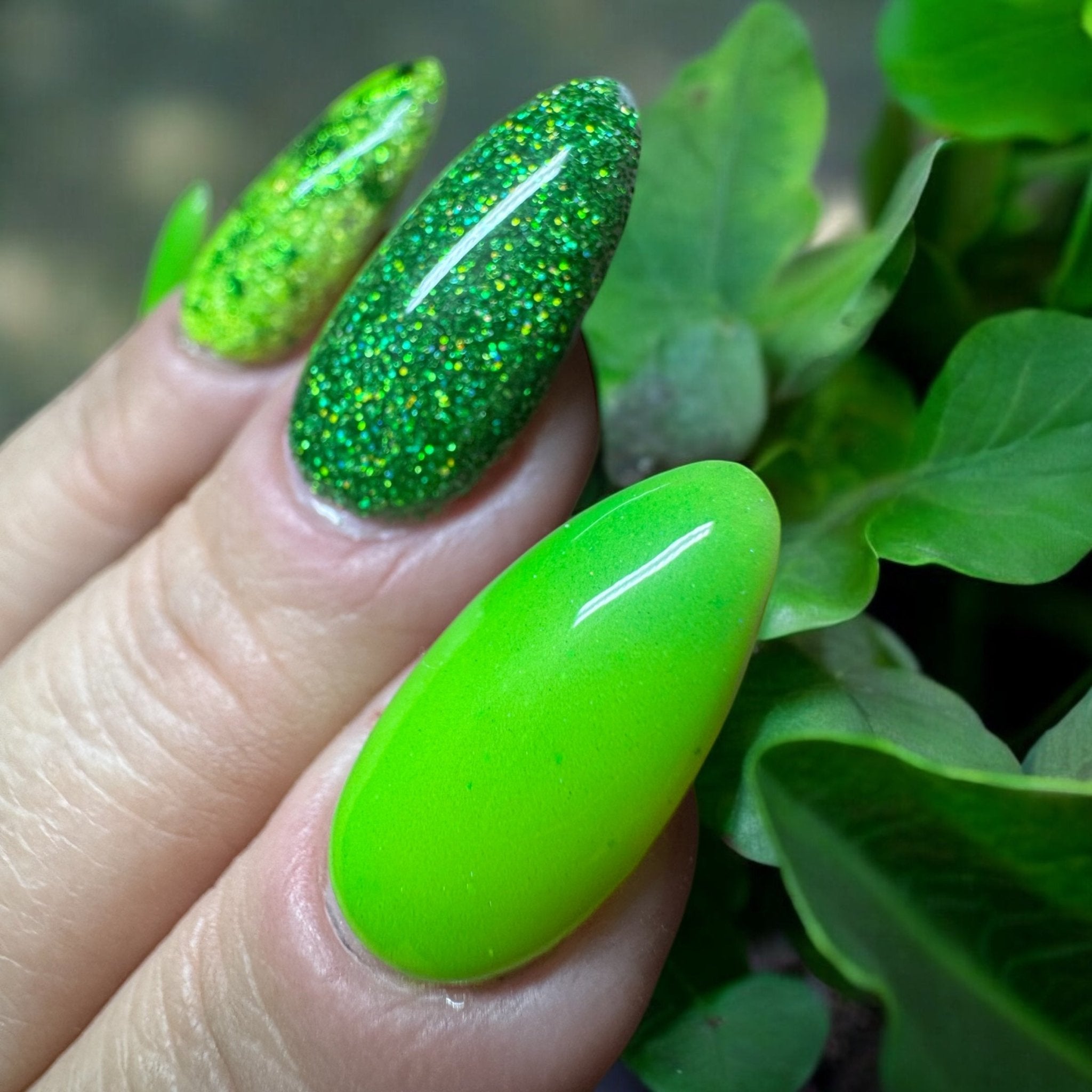 Leprechaun Chronicles - Closeout - Double Dipp'd Dip Powder