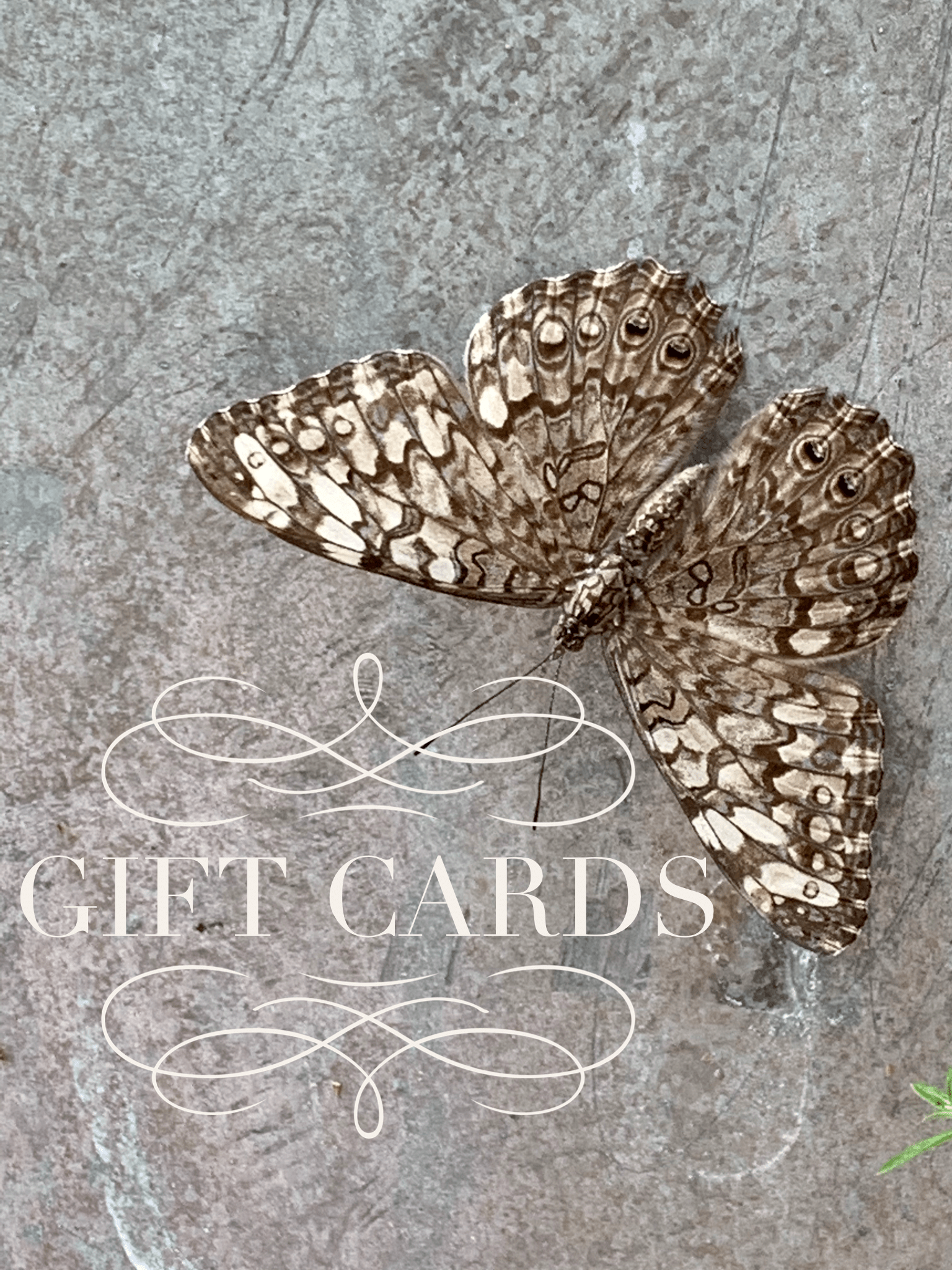 Gift Card - Gift Cards - Double Dipp'd Dip Powder