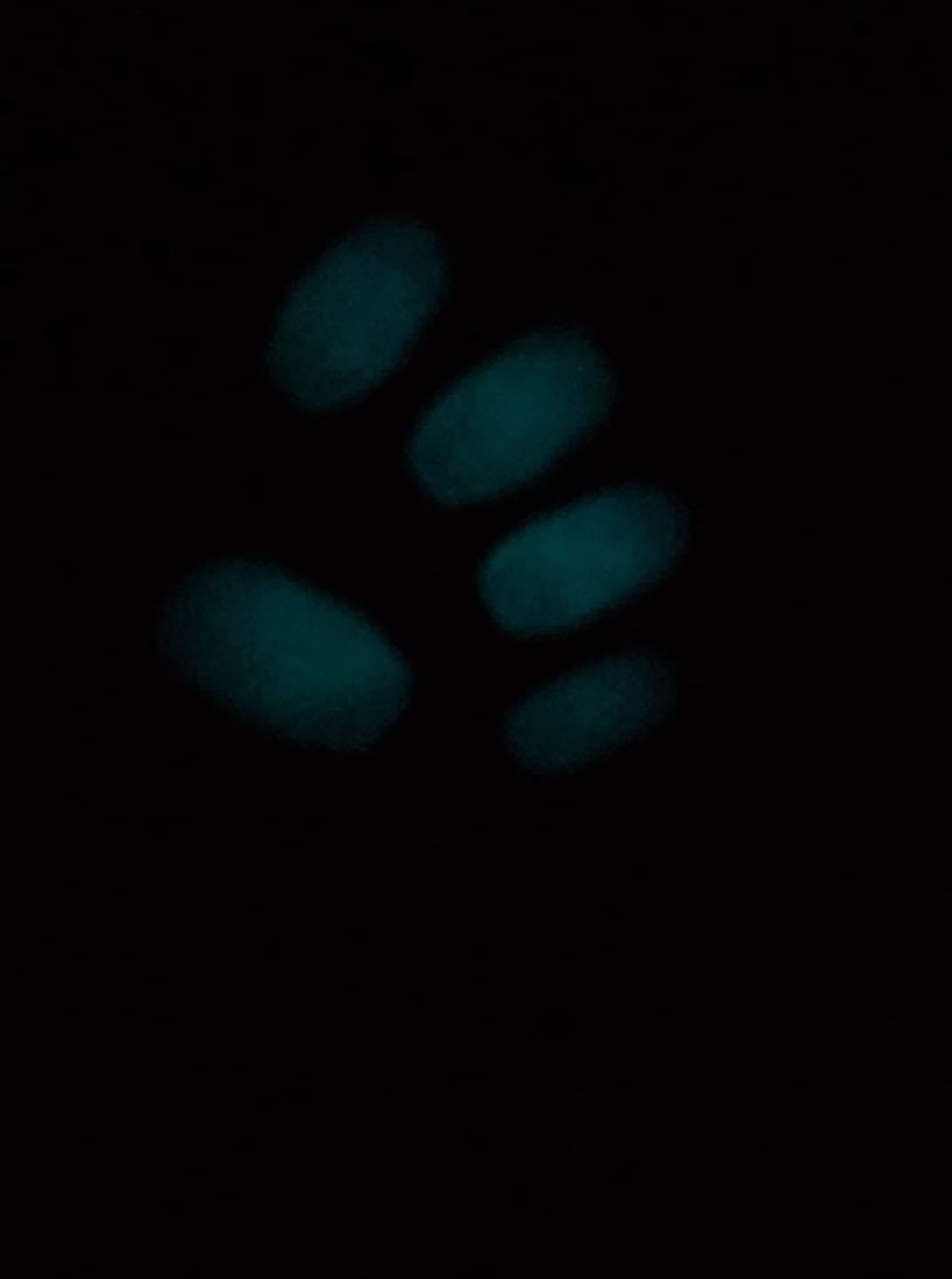 Glowrius