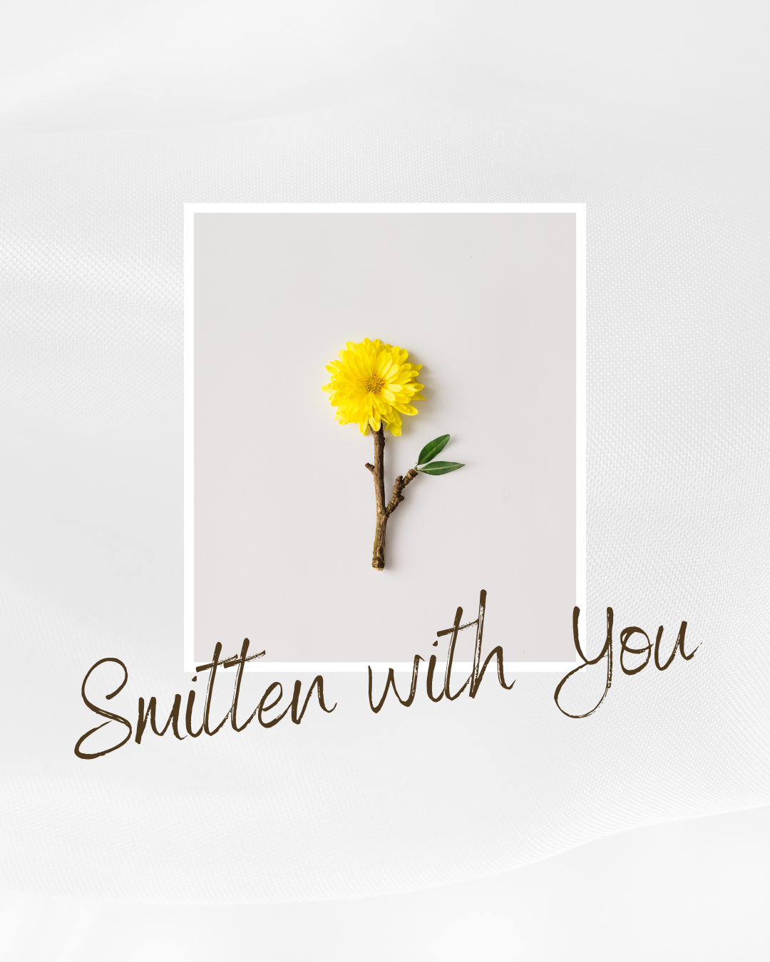 April 2026 Quarterly Subscription Blog Post