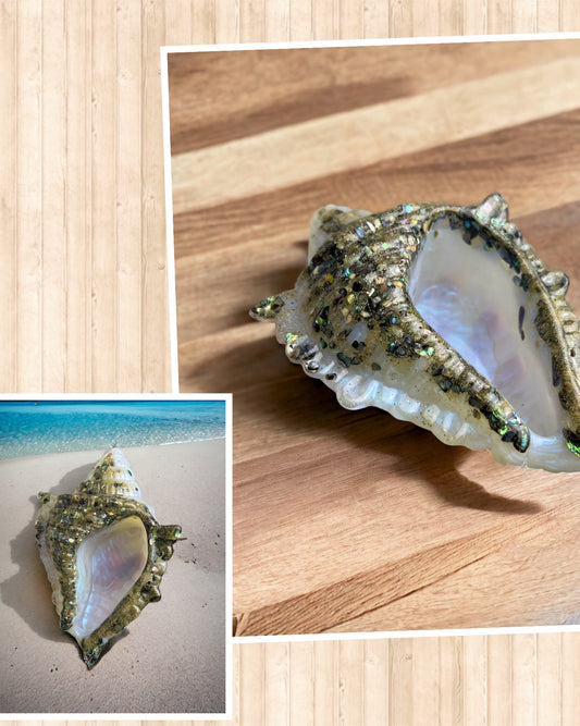 Resin Conch Shell dish