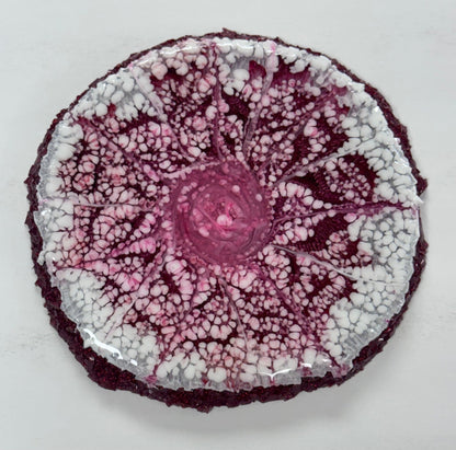 Resin Dip Trays, Liquid Bottle Holders and Color Palettes - Resin - Double Dipp'd Dip Powder