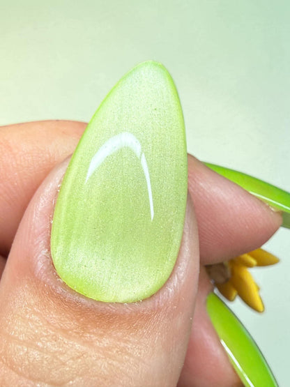 Satire Cat Eye Gel Polish - Gel Polish - Double Dipp'd Dip Powder