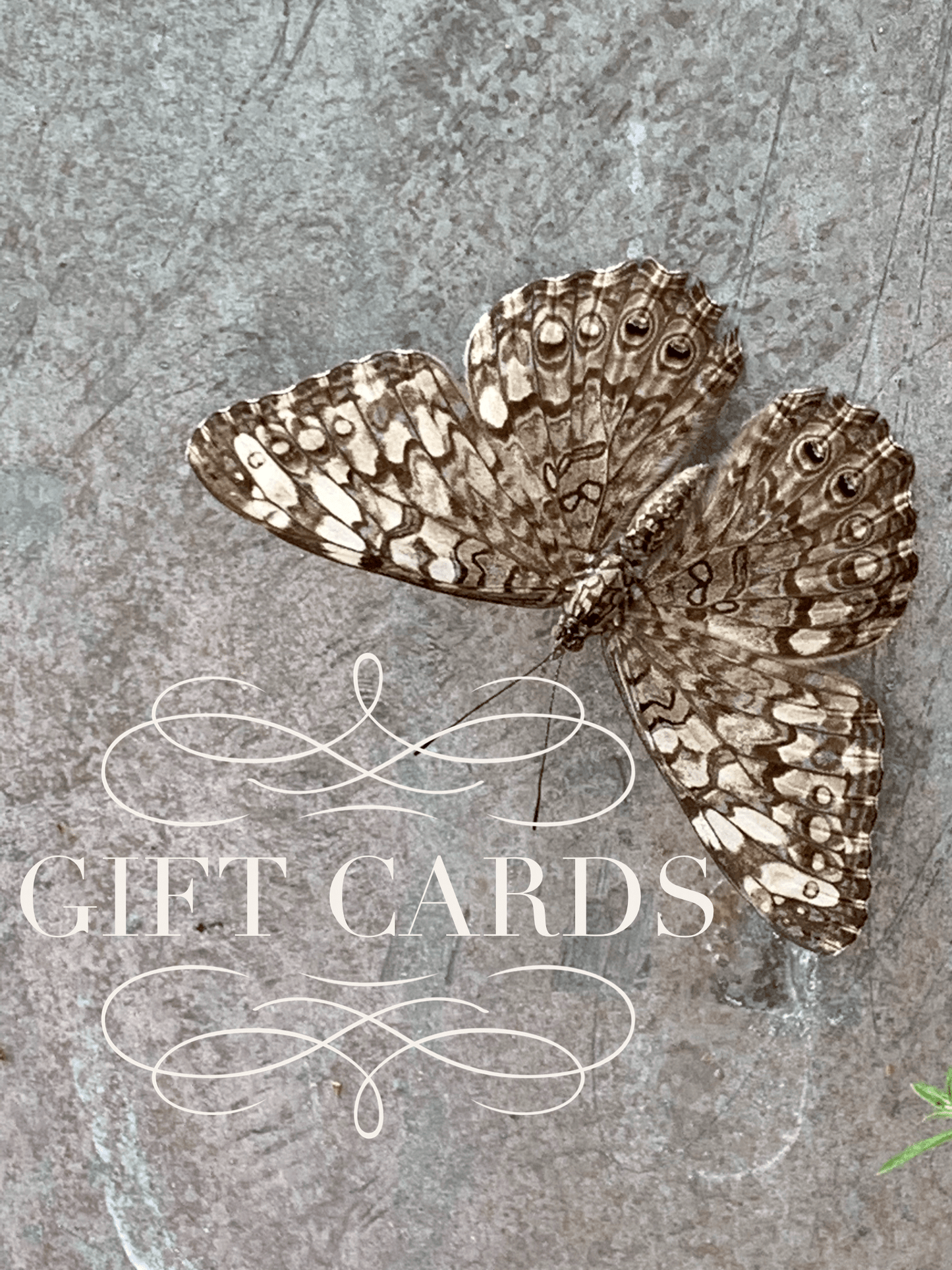 Gift Card - Gift Cards - Double Dipp'd Dip Powder