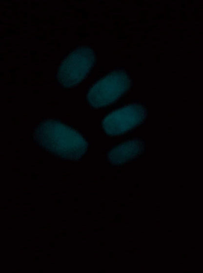Glowrius